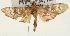  ( - Pyr001477)  @11 [ ] Copyright (2010) Unspecified Northwest Agriculture and Forest University