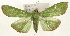 ( - Pyr001497)  @14 [ ] Copyright (2010) Unspecified Northwest Agriculture and Forest University