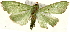  ( - Pyr001500)  @13 [ ] Copyright (2010) Unspecified Northwest Agriculture and Forest University