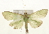  ( - Pyr001501)  @13 [ ] Copyright (2010) Unspecified Northwest Agriculture and Forest University