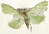  ( - Pyr001504)  @13 [ ] Copyright (2010) Unspecified Northwest Agriculture and Forest University