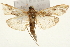  ( - Pyr001563)  @13 [ ] Copyright (2010) Unspecified Northwest Agriculture and Forest University