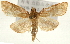  ( - Pyr001585)  @13 [ ] Copyright (2010) Unspecified Northwest Agriculture and Forest University