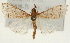  ( - Pyr001647)  @14 [ ] Copyright (2010) Unspecified Northwest Agriculture and Forest University