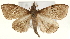  ( - Pyr001656)  @14 [ ] Copyright (2010) Unspecified Northwest Agriculture and Forest University