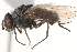  ( - BIOUG15882-G07)  @14 [ ] CreativeCommons - Attribution (2015) CBG Photography Group Centre for Biodiversity Genomics