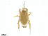  ( - BIOUG20626-C09)  @11 [ ] CreativeCommons - Attribution Share - Alike (2025) CBG Photography Group Centre for Biodiversity Genomics