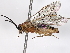 ( - BIOUG03229-A04)  @11 [ ] CreativeCommons - Attribution (2020) CBG Photography Group Centre for Biodiversity Genomics