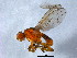  ( - BIOUG03018-A03)  @13 [ ] CreativeCommons - Attribution (2012) CBG Photography Group Centre for Biodiversity Genomics