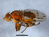  ( - BIOUG03018-B04)  @13 [ ] CreativeCommons - Attribution (2012) CBG Photography Group Centre for Biodiversity Genomics