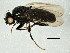  ( - BIOUG03167-D03)  @13 [ ] CreativeCommons - Attribution (2013) CBG Photography Group Centre for Biodiversity Genomics