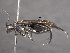  ( - BIOUG03229-H05)  @13 [ ] CreativeCommons - Attribution (2012) CBG Photography Group Centre for Biodiversity Genomics