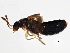  ( - BIOUG03394-A10)  @13 [ ] CreativeCommons - Attribution (2013) CBG Photography Group Centre for Biodiversity Genomics