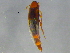  ( - BIOUG03168-C06)  @13 [ ] CreativeCommons - Attribution (2012) CBG Photography Group Centre for Biodiversity Genomics