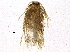  ( - BIOUG03665-B11)  @12 [ ] CreativeCommons - Attribution (2013) CBG Photography Group Centre for Biodiversity Genomics