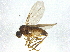  ( - BIOUG03668-D02)  @13 [ ] CreativeCommons - Attribution (2013) CBG Photography Group Centre for Biodiversity Genomics