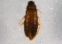  ( - BIOUG03751-D01)  @13 [ ] CreativeCommons - Attribution (2014) CBG Photography Group Centre for Biodiversity Genomics