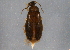  ( - BIOUG03751-E05)  @13 [ ] CreativeCommons - Attribution (2014) CBG Photography Group Centre for Biodiversity Genomics