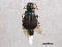  ( - BIOUG03417-A12)  @14 [ ] CreativeCommons - Attribution (2013) CBG Photography Group Centre for Biodiversity Genomics