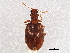  ( - BIOUG03417-B08)  @14 [ ] CreativeCommons - Attribution (2013) CBG Photography Group Centre for Biodiversity Genomics