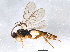  ( - BIOUG03801-E04)  @13 [ ] CreativeCommons - Attribution (2013) CBG Photography Group Centre for Biodiversity Genomics
