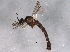  ( - BIOUG04101-E02)  @13 [ ] CreativeCommons - Attribution (2013) CBG Photography Group Centre for Biodiversity Genomics