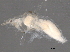  ( - BIOUG04107-G06)  @12 [ ] CreativeCommons - Attribution (2013) CBG Photography Group Centre for Biodiversity Genomics