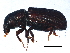  ( - BIOUG08611-B05)  @14 [ ] CreativeCommons - Attribution (2015) CBG Photography Group Centre for Biodiversity Genomics