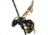  (Lasioglossum gotham - BIOUG08841-B02)  @15 [ ] CreativeCommons - Attribution (2014) CBG Photography Group Centre for Biodiversity Genomics