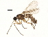  ( - BIOUG09051-C10)  @13 [ ] CreativeCommons - Attribution (2014) CBG Photography Group Centre for Biodiversity Genomics