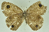  ( - CNSAT-65)  @11 [ ] Unspecified (default): All Rights Reserved  Unspecified Unspecified