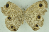  ( - CNSAT-65)  @11 [ ] Unspecified (default): All Rights Reserved  Unspecified Unspecified
