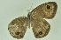  ( - CNSAT-66)  @11 [ ] Unspecified (default): All Rights Reserved  Unspecified Unspecified