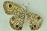  ( - CNSAT-66)  @11 [ ] Unspecified (default): All Rights Reserved  Unspecified Unspecified