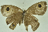  ( - CNSAT-67)  @11 [ ] Unspecified (default): All Rights Reserved  Unspecified Unspecified