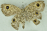  ( - CNSAT-67)  @11 [ ] Unspecified (default): All Rights Reserved  Unspecified Unspecified