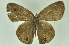 ( - CNSAT-68)  @11 [ ] Unspecified (default): All Rights Reserved  Unspecified Unspecified