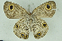  ( - CNSAT-68)  @11 [ ] Unspecified (default): All Rights Reserved  Unspecified Unspecified