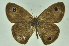  ( - CNSAT-69)  @11 [ ] Unspecified (default): All Rights Reserved  Unspecified Unspecified