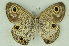  ( - CNSAT-69)  @11 [ ] Unspecified (default): All Rights Reserved  Unspecified Unspecified