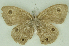  ( - CNSAT-70)  @11 [ ] Unspecified (default): All Rights Reserved  Unspecified Unspecified