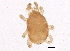  ( - BIOUG04017-E08)  @13 [ ] CreativeCommons - Attribution (2012) CBG Photography Group Centre for Biodiversity Genomics