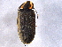 ( - BIOUG02737-C09)  @13 [ ] CreativeCommons - Attribution (2012) CBG Photography Group Centre for Biodiversity Genomics
