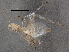  ( - BIOUG02749-A10)  @13 [ ] CreativeCommons - Attribution (2013) CBG Photography Group Centre for Biodiversity Genomics