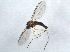  ( - BIOUG02758-A04)  @12 [ ] CreativeCommons - Attribution (2013) CBG Photography Group Centre for Biodiversity Genomics