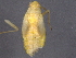  ( - BIOUG02739-B09)  @12 [ ] CreativeCommons - Attribution (2012) CBG Photography Group Centre for Biodiversity Genomics