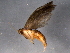  ( - BIOUG02738-C09)  @12 [ ] CreativeCommons - Attribution (2012) CBG Photography Group Centre for Biodiversity Genomics