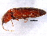  ( - BIOUG02756-B09)  @13 [ ] CreativeCommons - Attribution (2012) CBG Photography Group Centre for Biodiversity Genomics