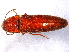 ( - BIOUG02756-C06)  @13 [ ] CreativeCommons - Attribution (2012) CBG Photography Group Centre for Biodiversity Genomics