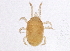  ( - BIOUG03832-A12)  @13 [ ] CreativeCommons - Attribution (2012) CBG Photography Group Centre for Biodiversity Genomics
